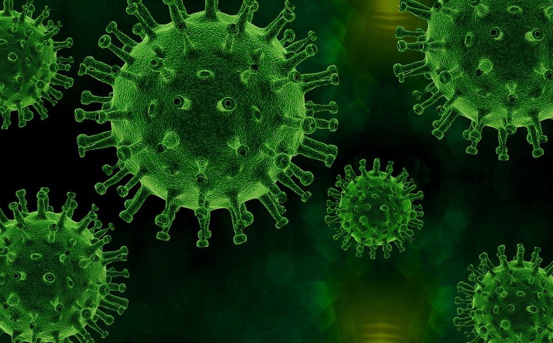 Aký je rozdiel medzi vírusmi a baktériami?